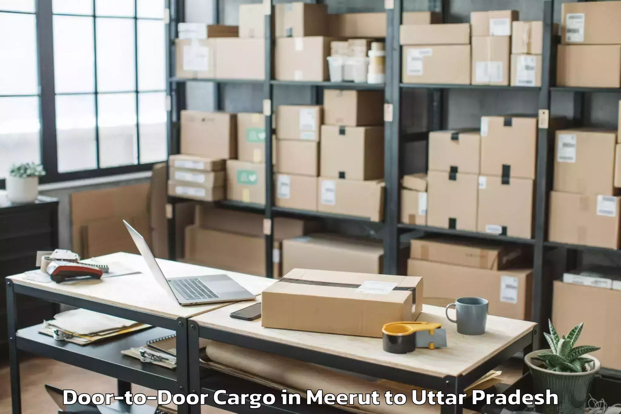 Professional Meerut to Muskara Door To Door Cargo